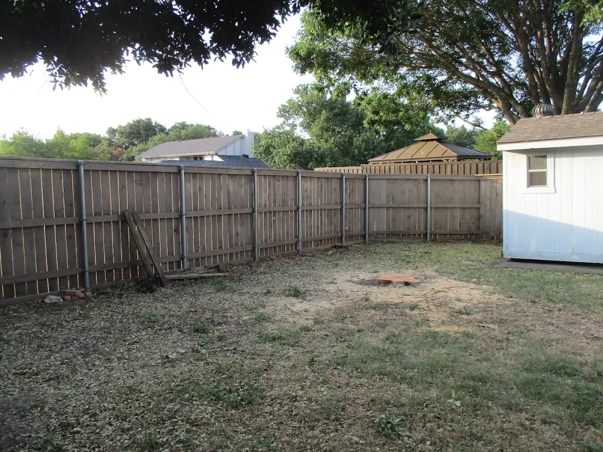 Cleared yard after professional tree removal in Canton